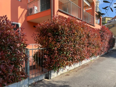 immagine annuncio 1 di 9
