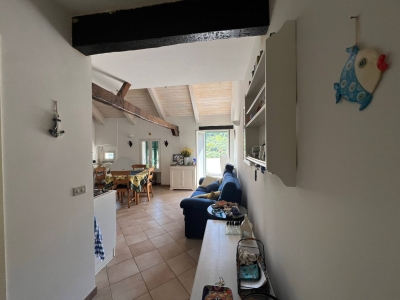 immagine annuncio 4 di 9