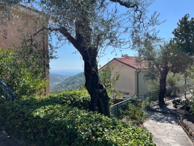 immagine annuncio 2 di 9