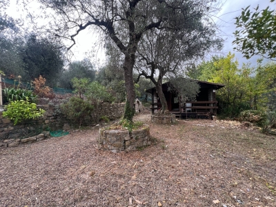 immagine annuncio 1 di 9