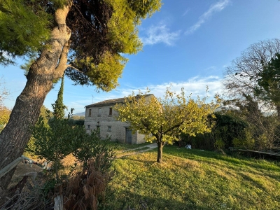 immagine annuncio 3 di 7
