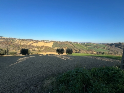 immagine annuncio 2 di 6