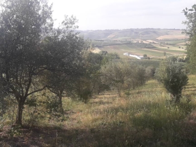 immagine annuncio 8 di 9