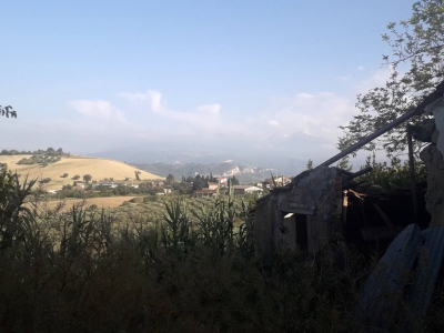 immagine annuncio 6 di 9
