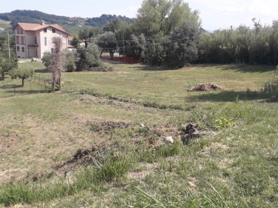 immagine annuncio 2 di 8