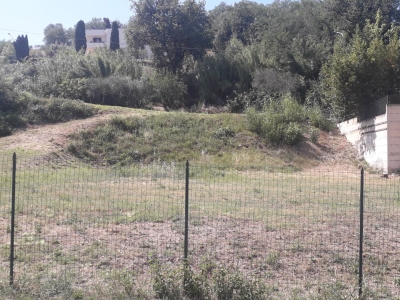 immagine annuncio 3 di 8