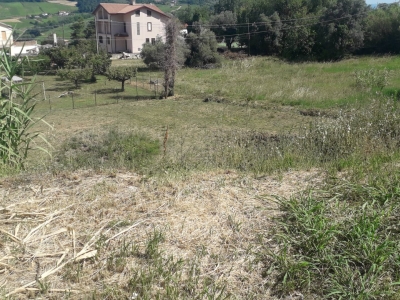 immagine annuncio 7 di 8