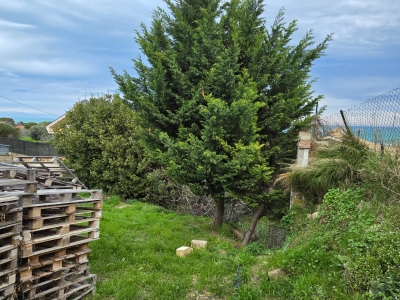 immagine annuncio 7 di 9
