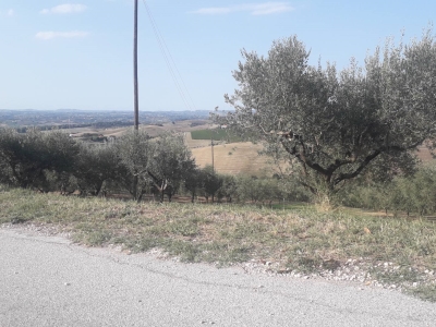 immagine annuncio 4 di 9