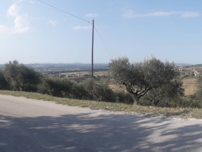 immagine annuncio 6 di 9