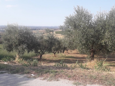 immagine annuncio 8 di 9