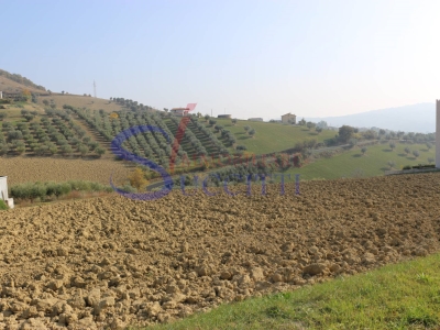 immagine annuncio 4 di 9