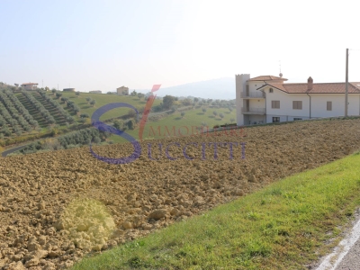 immagine annuncio 5 di 9