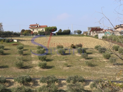 immagine annuncio 6 di 9