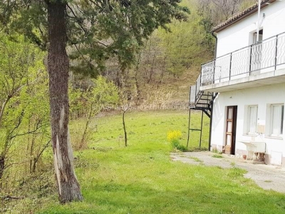 immagine annuncio 4 di 9