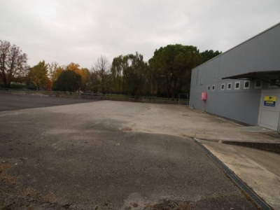 immagine annuncio 5 di 9