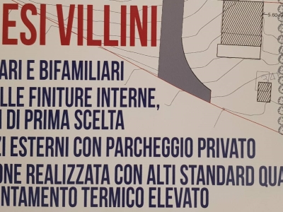immagine annuncio 3 di 6