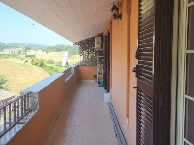 immagine annuncio 5 di 9
