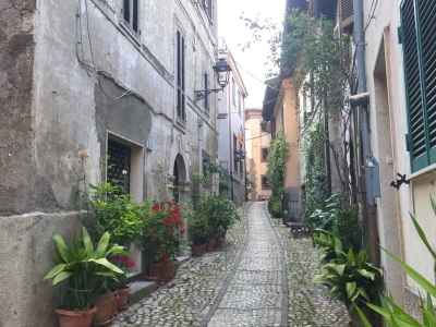 immagine annuncio 2 di 9