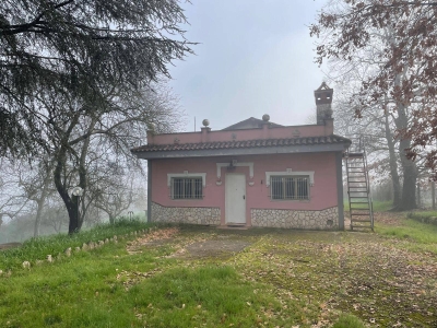 immagine annuncio 1 di 9