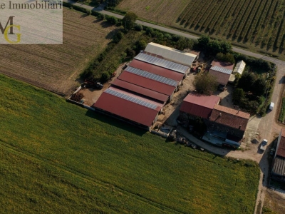 immagine annuncio 2 di 9