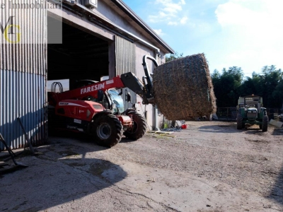 immagine annuncio 6 di 9