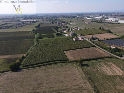 immagine annuncio 2 di 6