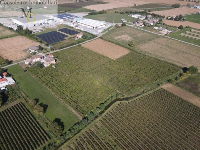 immagine annuncio 3 di 6