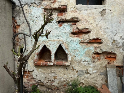 immagine annuncio 3 di 9