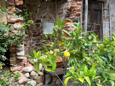 immagine annuncio 4 di 9