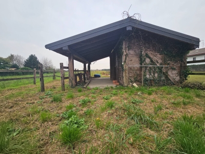 immagine annuncio 1 di 9