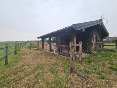 immagine annuncio 7 di 9