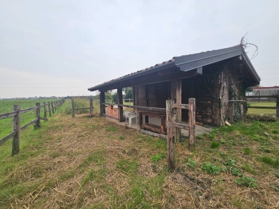 immagine annuncio 8 di 9