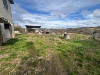 immagine annuncio 1 di 4