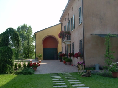 immagine annuncio 1 di 9