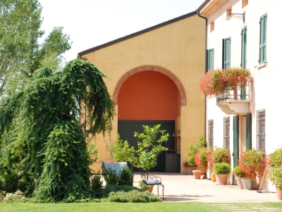 immagine annuncio 2 di 9