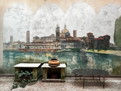 immagine annuncio 4 di 9