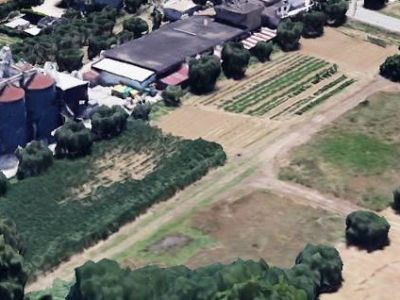 immagine annuncio 6 di 8