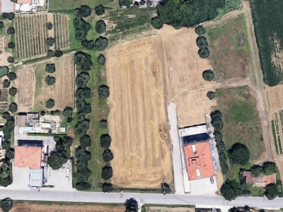 immagine annuncio 4 di 8