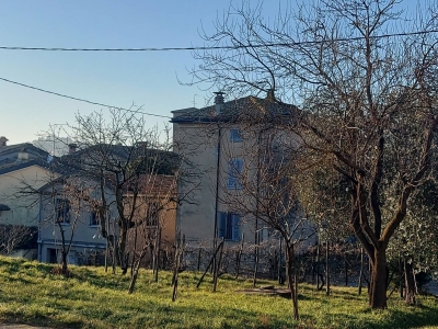 immagine annuncio 1 di 9