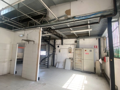 immagine annuncio 3 di 6