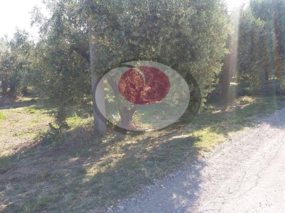 immagine annuncio 6 di 9