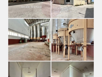 immagine annuncio 3 di 6