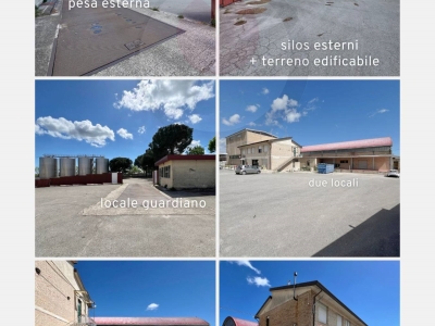 immagine annuncio 1 di 6