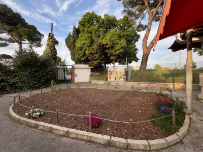 immagine annuncio 5 di 9