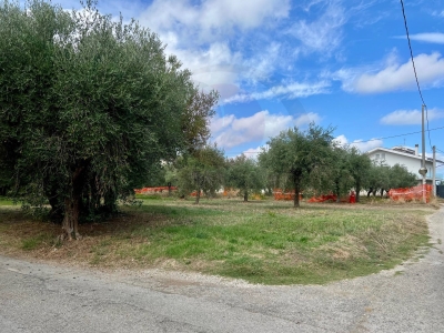 immagine annuncio 1 di 8