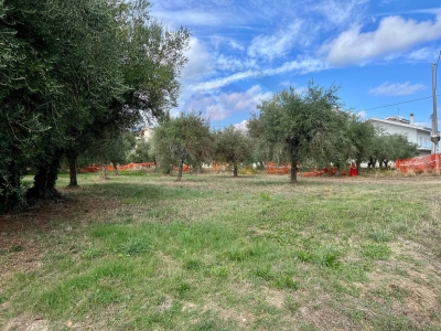 immagine annuncio 2 di 8