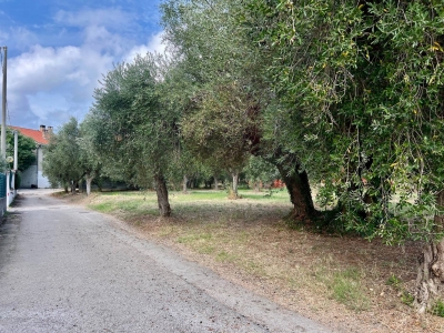 immagine annuncio 4 di 8