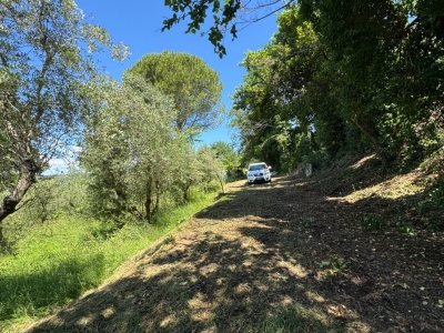 immagine annuncio 3 di 9