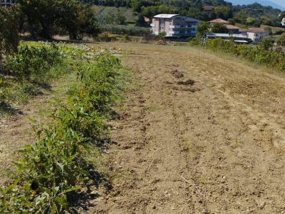 immagine annuncio 1 di 9